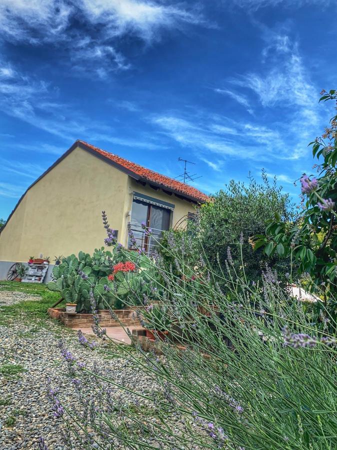 Ca' Degli Ovi B&B Valenza Dış mekan fotoğraf
