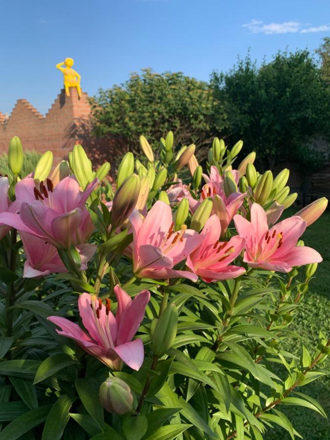 Ca' Degli Ovi B&B Valenza Dış mekan fotoğraf
