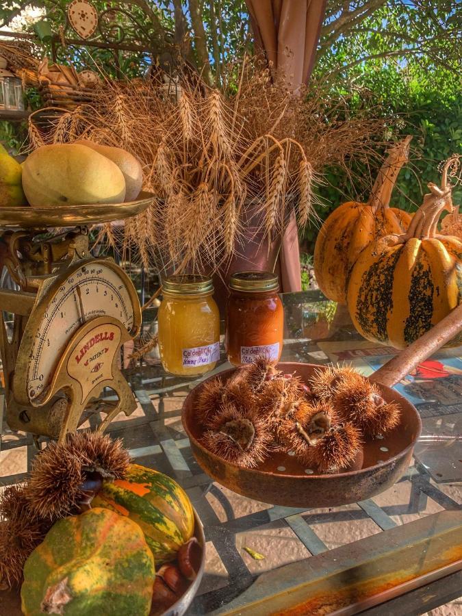 Ca' Degli Ovi B&B Valenza Dış mekan fotoğraf