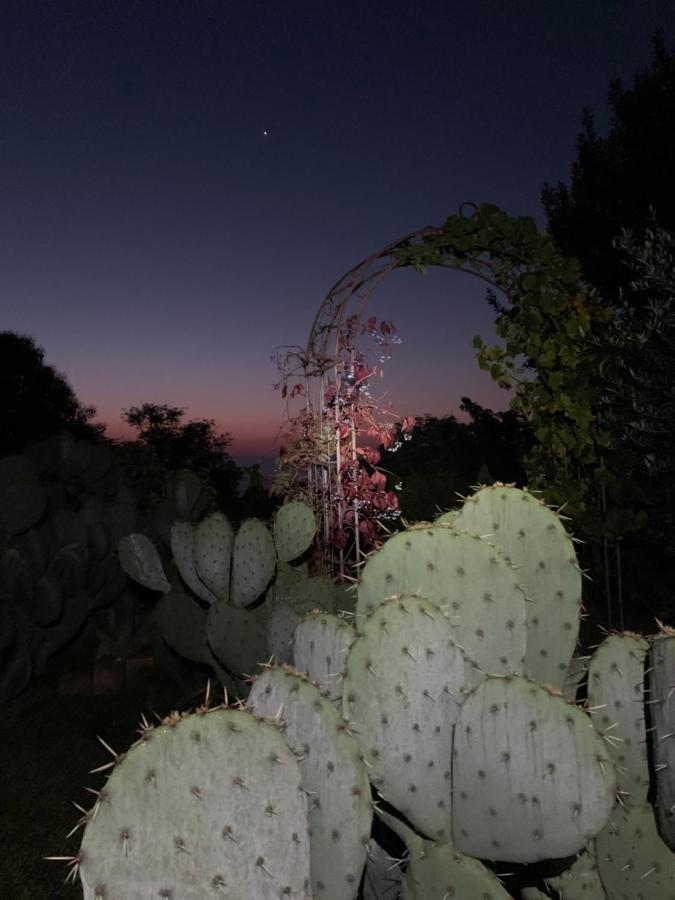 Ca' Degli Ovi B&B Valenza Dış mekan fotoğraf