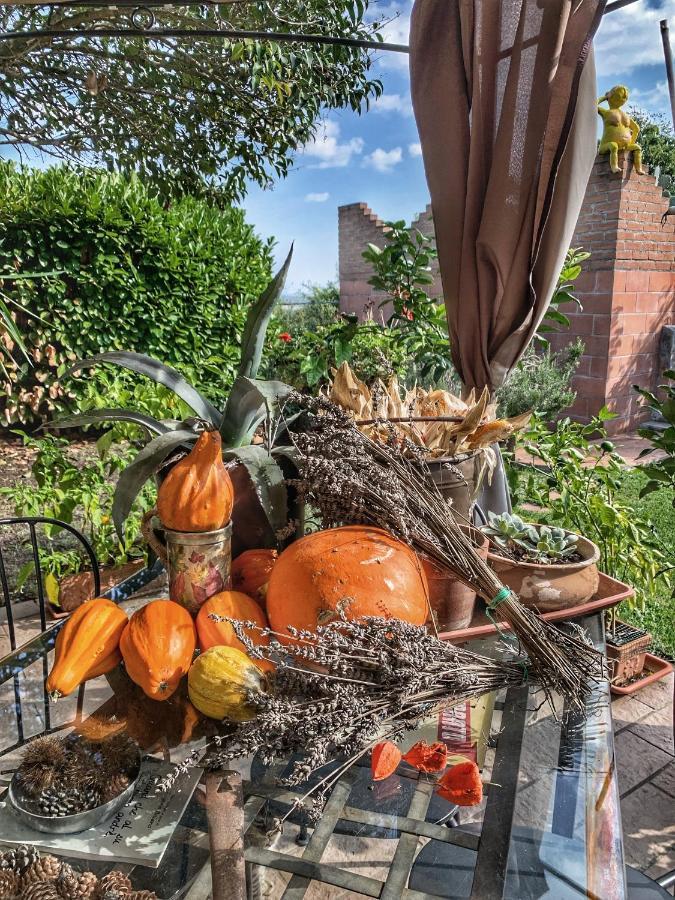 Ca' Degli Ovi B&B Valenza Dış mekan fotoğraf