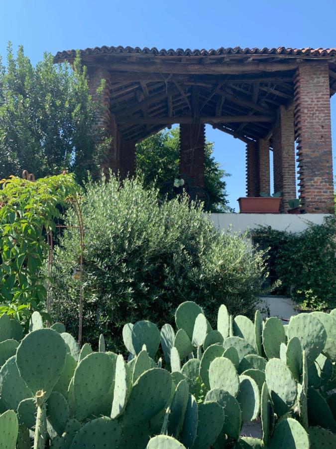 Ca' Degli Ovi B&B Valenza Dış mekan fotoğraf