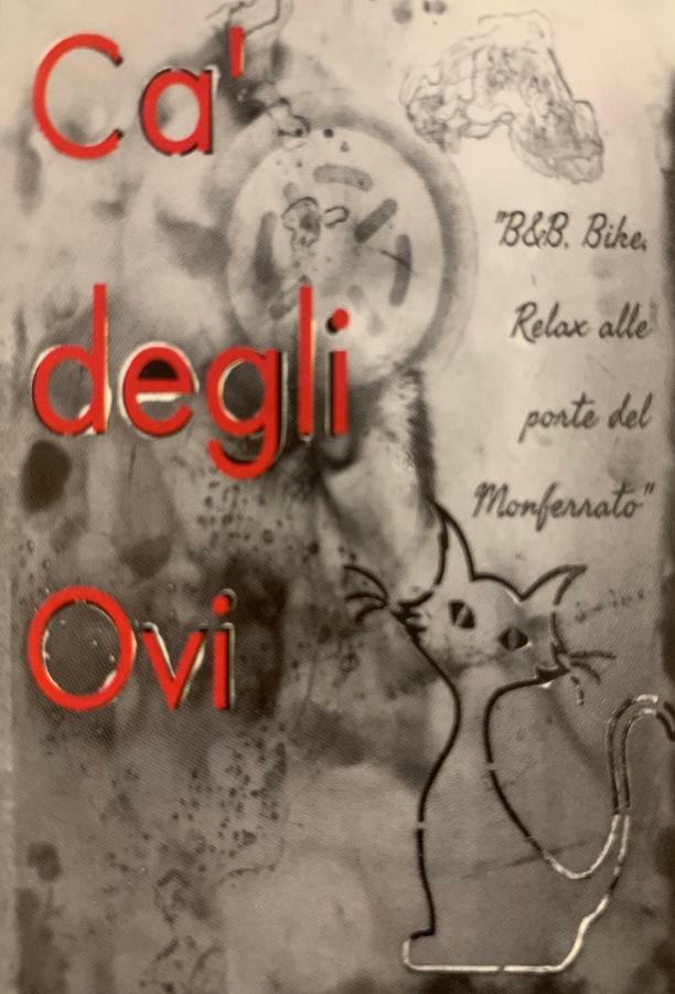 Ca' Degli Ovi B&B Valenza Dış mekan fotoğraf