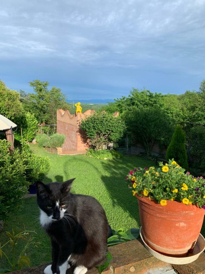 Ca' Degli Ovi B&B Valenza Dış mekan fotoğraf