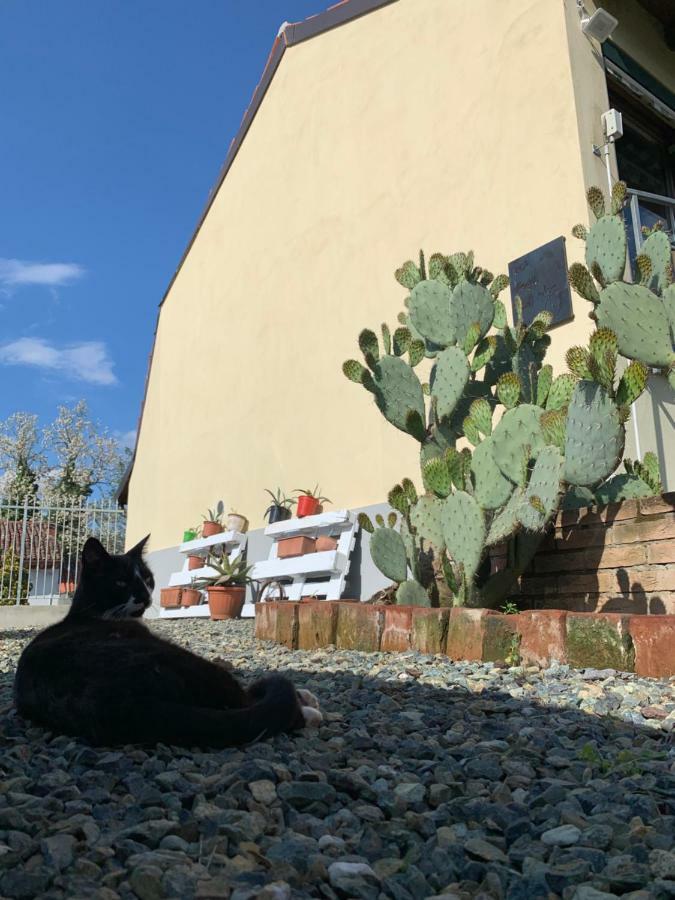 Ca' Degli Ovi B&B Valenza Dış mekan fotoğraf