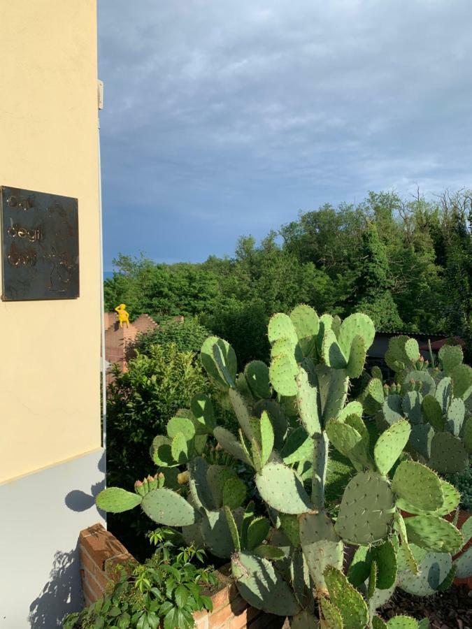 Ca' Degli Ovi B&B Valenza Dış mekan fotoğraf